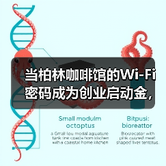 当柏林咖啡馆的Wi-Fi密码成为创业启动金，欧洲风险投资还能相信什么？（图1）