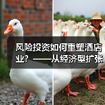 风险投资如何重塑酒店业?——从经济型扩张到生态赋能的二十年演变(图2) 风险投资如何重塑酒店业?——从经济型扩张到生态赋能的二十年演变(图2)
