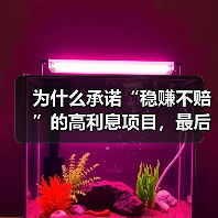 为什么承诺“稳赚不赔”的高利息项目，最后却总让我血本无归？