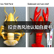投资者风险认知白皮书