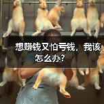 想赚钱又怕亏钱,我该怎么办?(图4) 想赚钱又怕亏钱,我该怎么办?(图4)