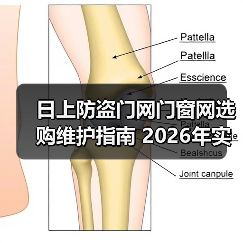 日上防盗门网门窗网选购维护指南 2026年实用技巧解析(图3) 日上防盗门网门窗网选购维护指南 2026年实用技巧解析(图3)